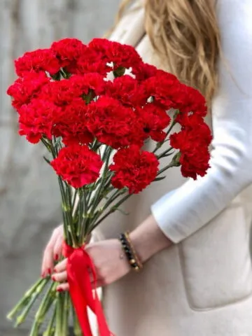 A bouquet of red carnations