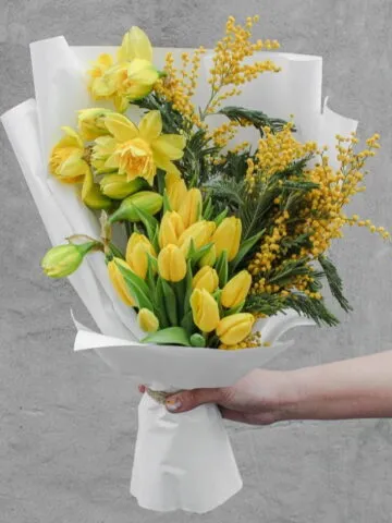 Bouquet of mimosa and tulips