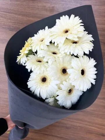 A bouquet of white gerberas