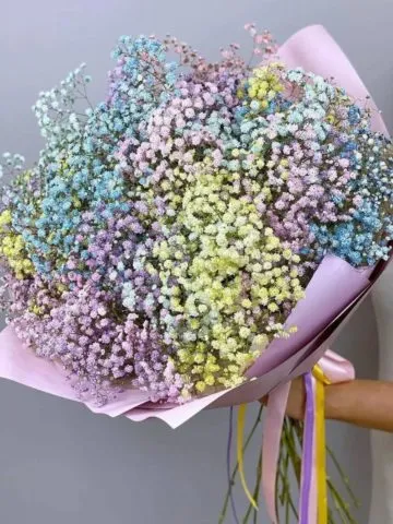 Bouquet of 25 multicolored gypsophiles