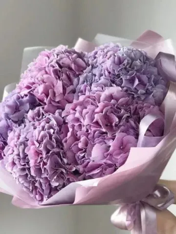 Bouquet of 5 hydrangeas