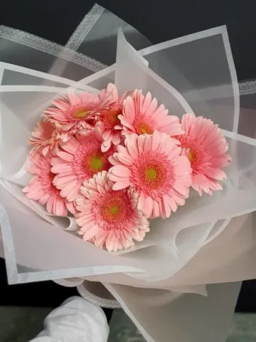 Bouquet of 9 gerberas