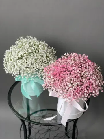 Gypsophila arrangement