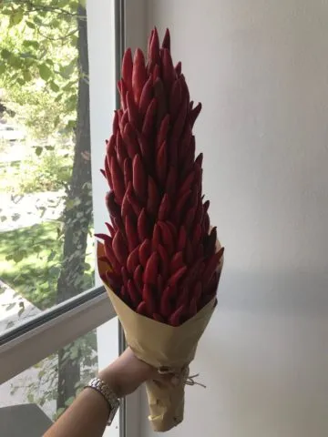 Red pepper bouquet