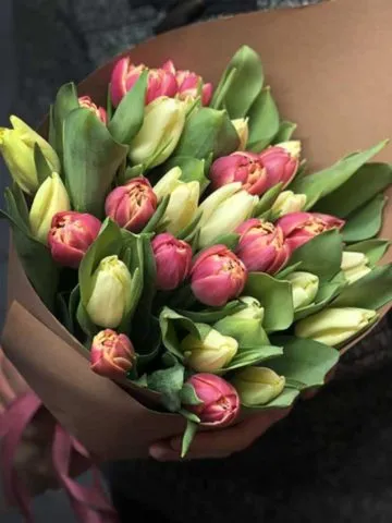 Bouquet of 33 tulips