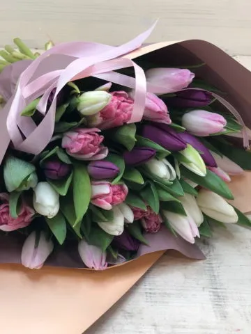 Bouquet of 37 tulips