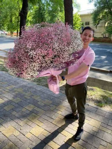 Bouquet of 25 delicate gypsophiles