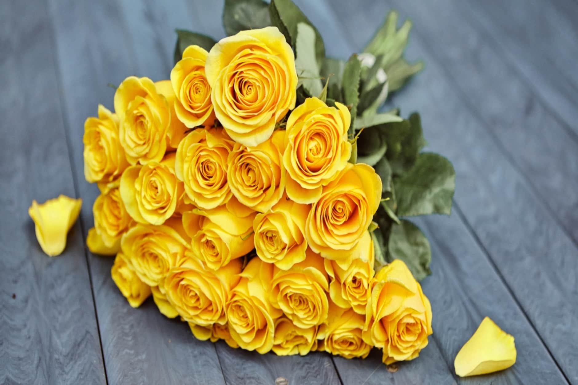 Yellow roses - to parting: all the omens and superstitions about sunny flowers