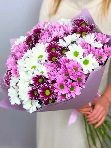 Bouquet of 25 chrysanthemums