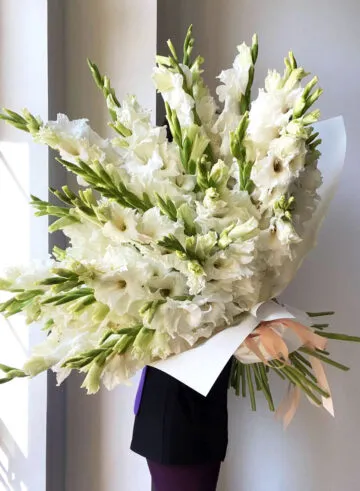 A bouquet of delicate gladioli