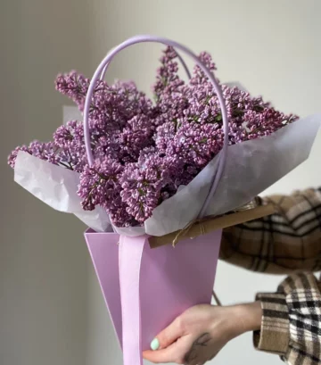 Bouquet Violet