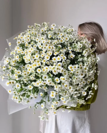 Bouquet of Dutch daisies