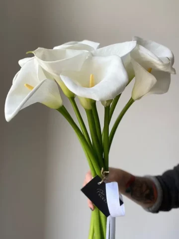 White calla lilies in a vase