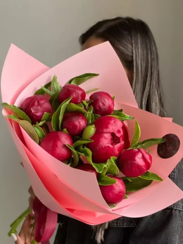 Bouquet of burgundy peonies