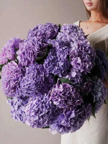 Bouquet of 15 purple hydrangeas