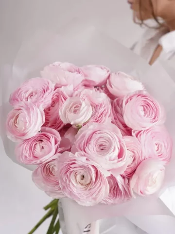 Bouquet of 25 Ranunculus Pink