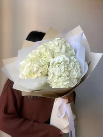 Bouquet of white hydrangeas