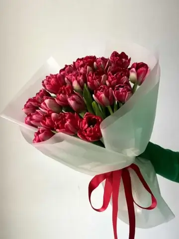 A bouquet of burgundy tulips.