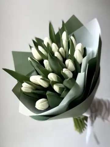 25 white tulips