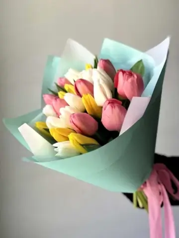 25 mix tulips