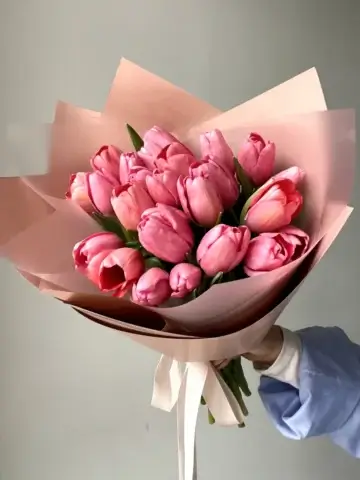 25 pink tulips