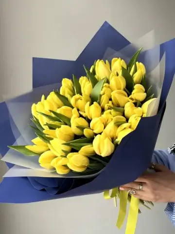 51 yellow tulip