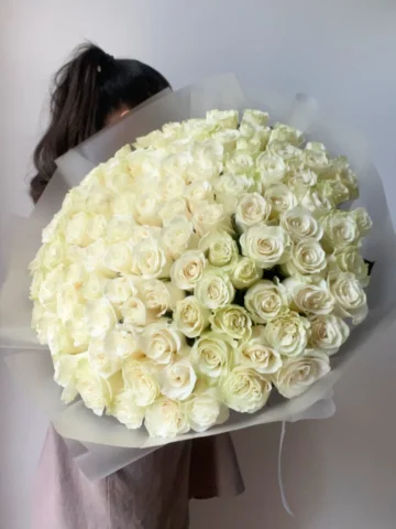 101 white roses