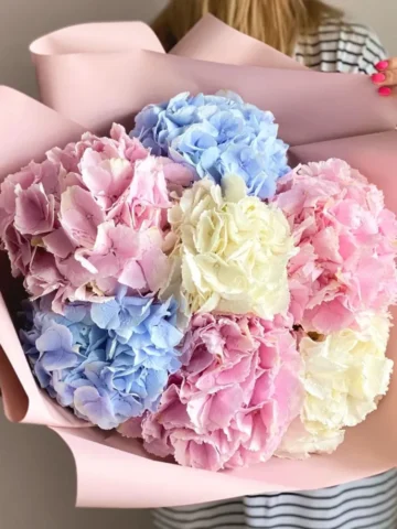 Bouquet of 7 royal hydrangeas mix