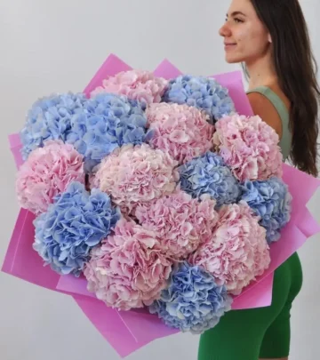 Bouquet of 15 royal hydrangeas