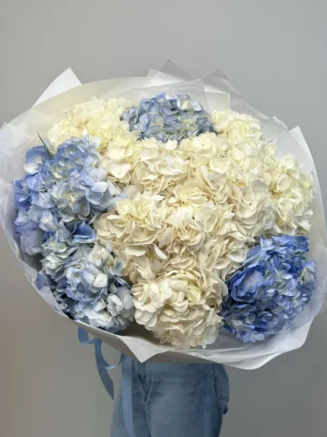 Bouquet of 15 hydrangeas