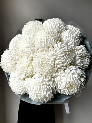 15 sprigs of white chrysanthemum Bigudi