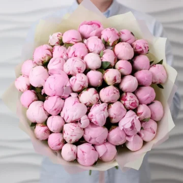 51 pink peony