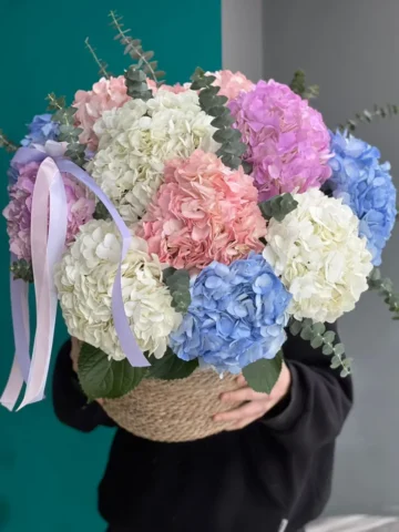 Composition of 13 hydrangeas