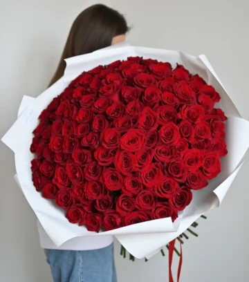 101 gorgeous roses