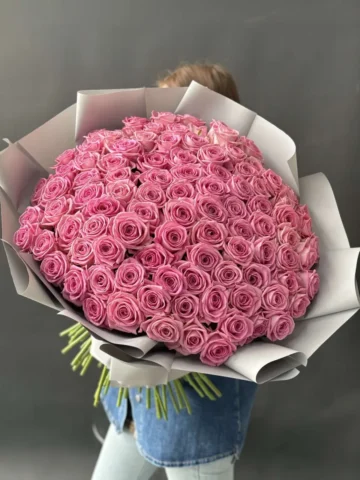 101 delicate pink roses